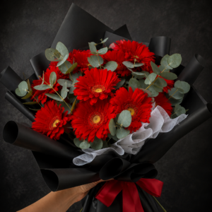 Scarlet Noir